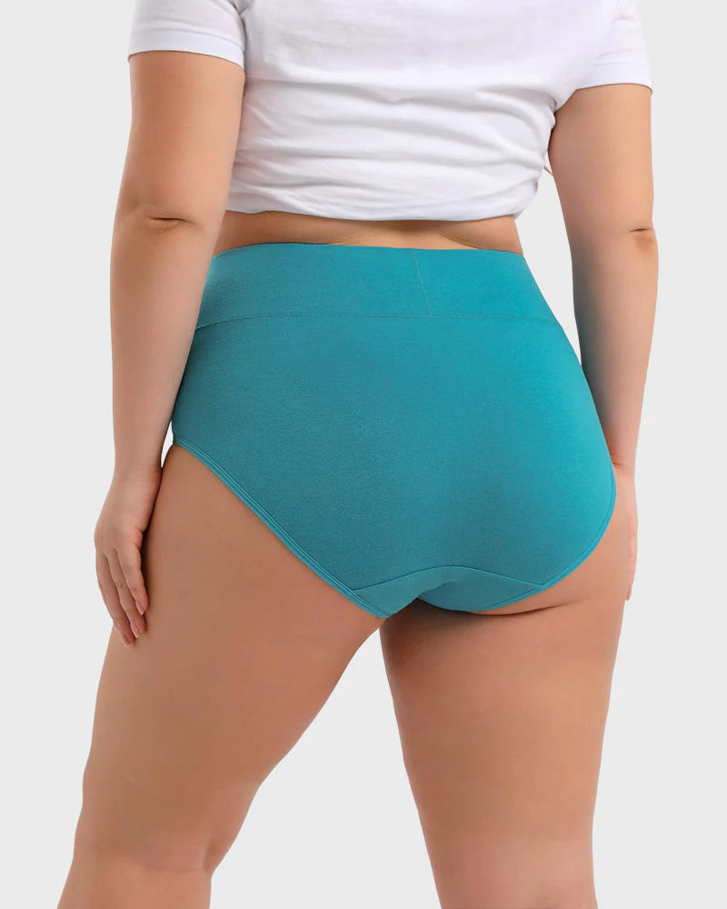 Women's Plus Size Cotton High Waisted Briefs – 1 Pair (Single)