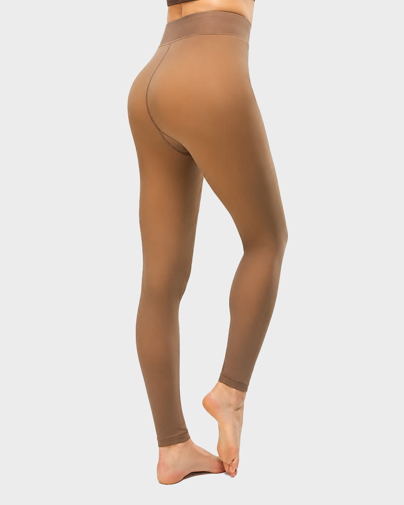 Women's Fleece Lined Fake Sheer Tights Warm High Stretch Winter Leggings
