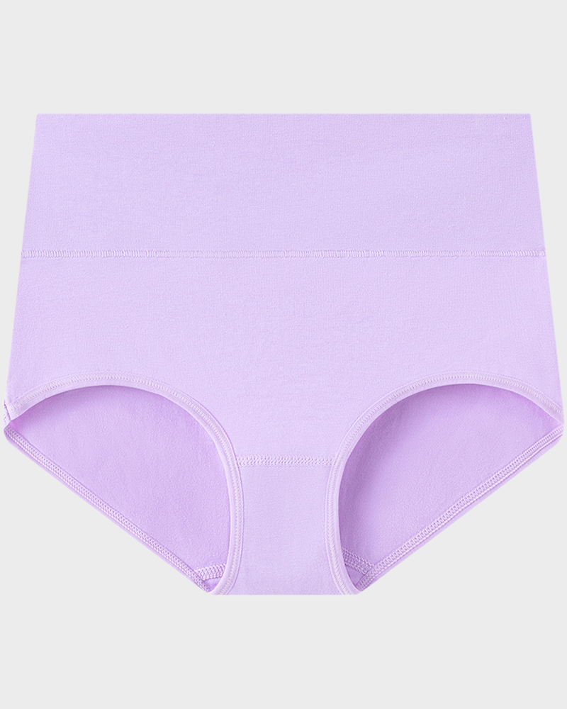 Women's Plus Size Cotton High Waisted Briefs – 1 Pair (Single)