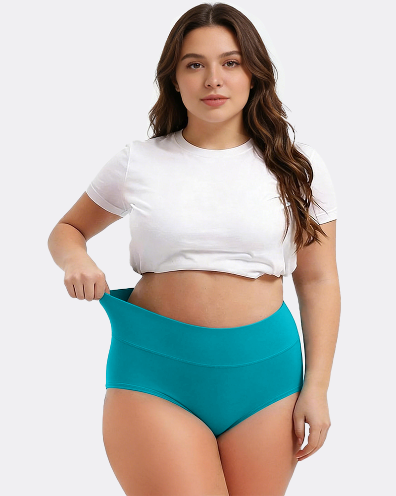 Women's Plus Size Cotton High Waisted Briefs – 1 Pair (Single)