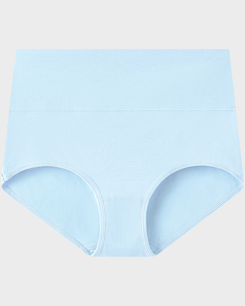 Women's Plus Size Cotton High Waisted Briefs – 1 Pair (Single)