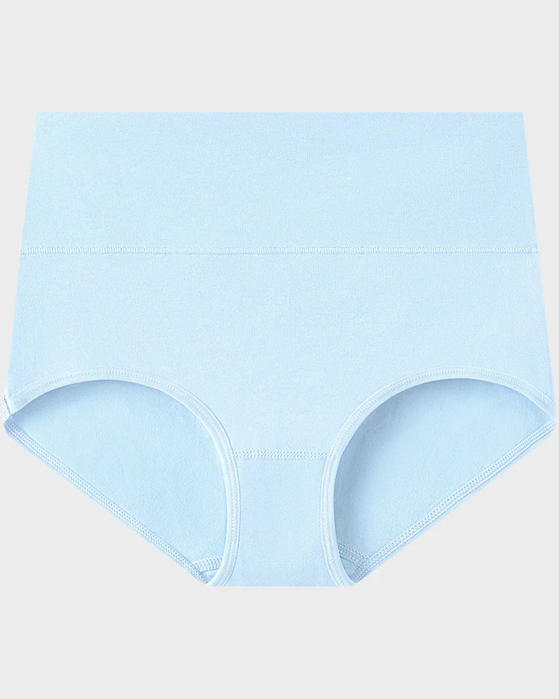 Women's Plus Size Cotton High Waisted Briefs – 1 Pair (Single)