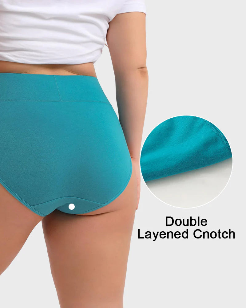 Women's Plus Size Cotton High Waisted Briefs – 1 Pair (Single)