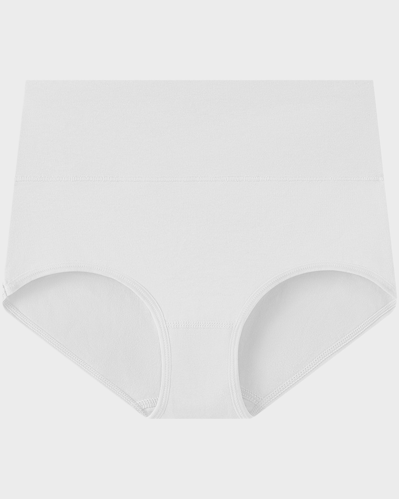 Women's Plus Size Cotton High Waisted Briefs – 1 Pair (Single)