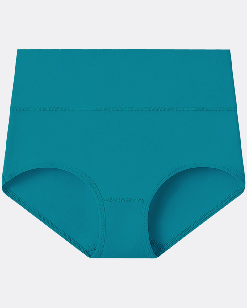 Women's Plus Size Cotton High Waisted Briefs – 1 Pair (Single)