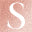 Sntchx logo